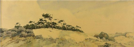 Duinal landscape by Arie Zonneveld