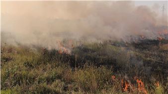 Conflictual Distance - EFA Project Space