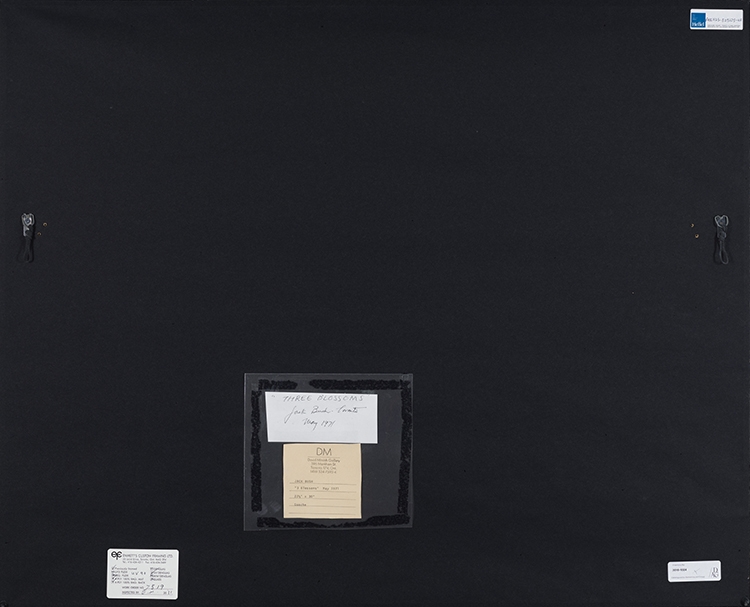 Artwork by Jack Bush, Three Blossoms, Made of gouache on paper