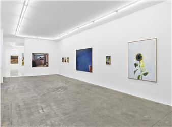 Anna Bjerger: A Face In The Clouds - Galleri Bo Bjerggaard