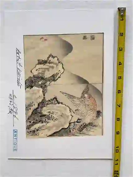 Bird by Takeuchi Keishu, 1896