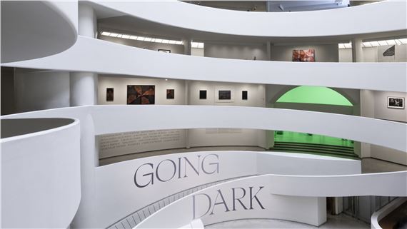Going Dark: The Contemporary Figure at the Edge of Visibility - Solomon R. Guggenheim Museum