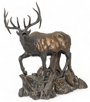 Challenge - Kerry Eva