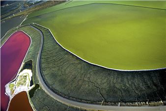 New Photo Book: Salt of the Earth: A Visual Odyssey of a Transforming Landscape by Barbara Boissevain