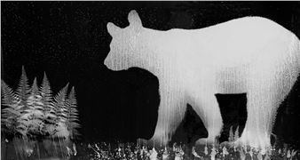 Zana Briski: Encounters - Etherton Gallery