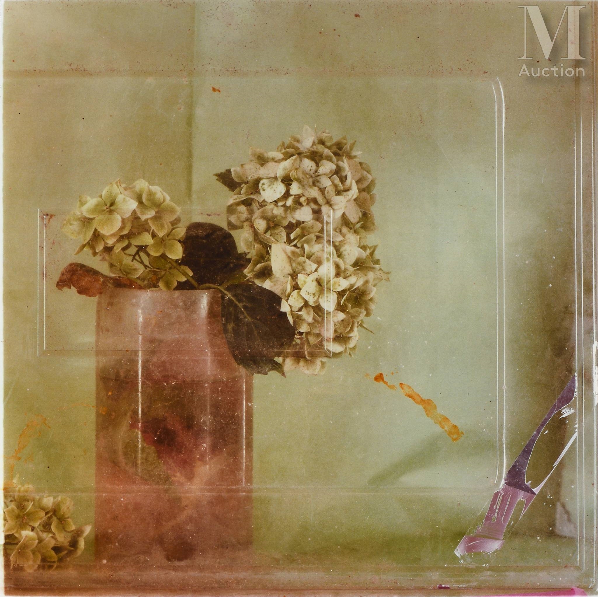 Nature morte n°92 by Toni Catany, 2001