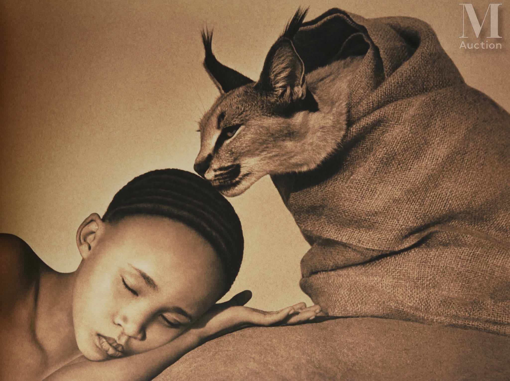 Artwork by Gregory Colbert, Ashes and Snow