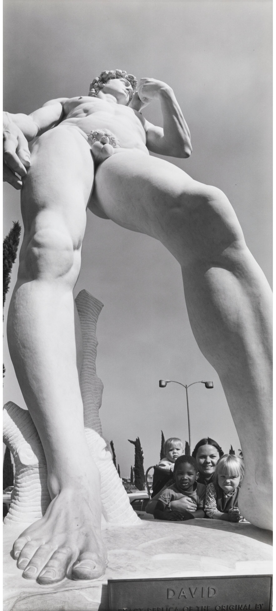 James Alinder | David (1974) | MutualArt