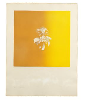 The Irish Sale - Vision & Voice - Bonhams Online