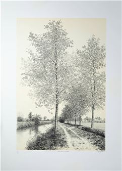 "Sentiero d'estate" - Agostino Zaliani