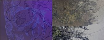 Luna Bengoechea & Esther Elena Pea: Mycelium: Nature is What's on the Inside and Outside - Galería Artizar