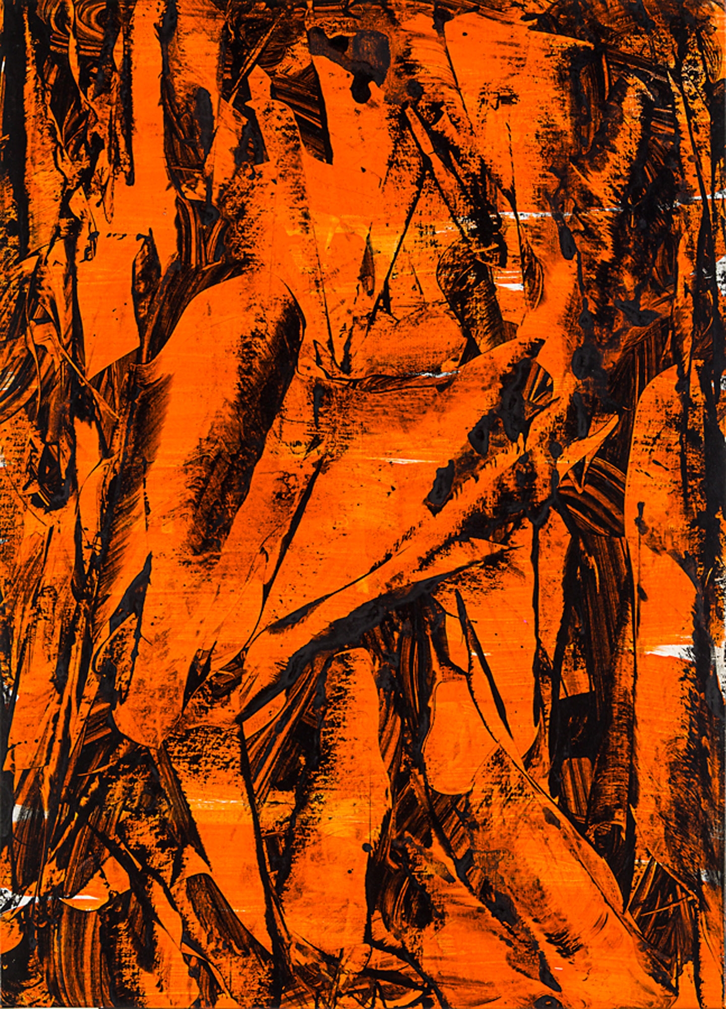 Artwork by Judy Millar, Untitled, Made of acrylic on canvas