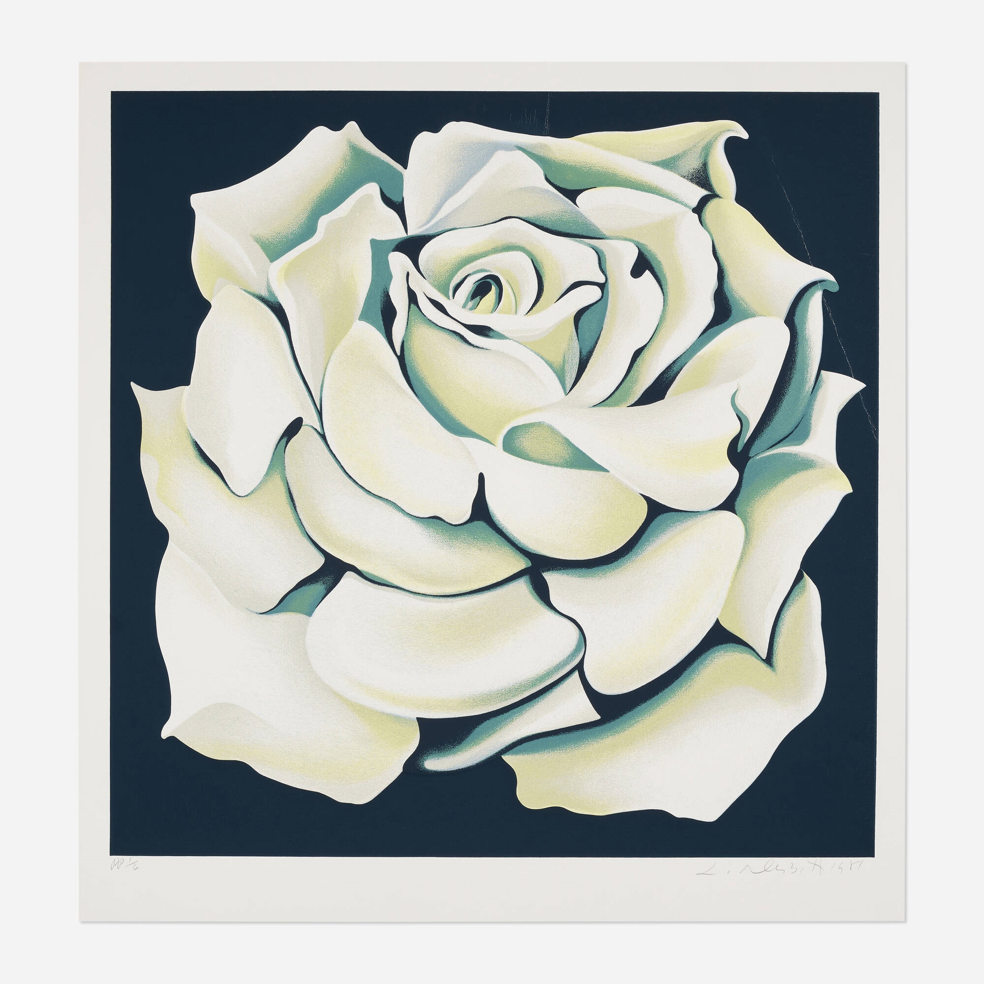 Lowell Nesbitt | White Rose (1981) | MutualArt