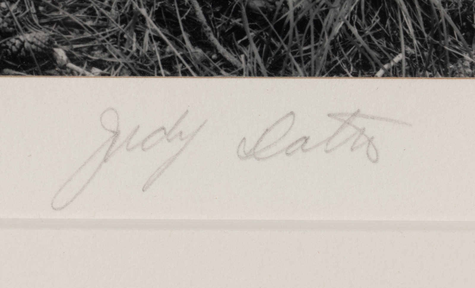 Artwork by Judy Dater, Imogen and Twinka at Yosemite, Made of Gelatin silver print