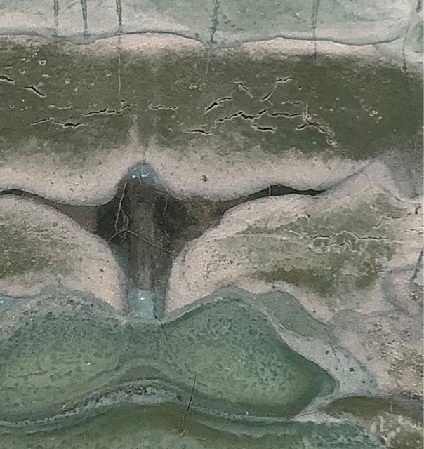 Artwork by Takeshi Kinoshita, crab, Made of ink and color on papers