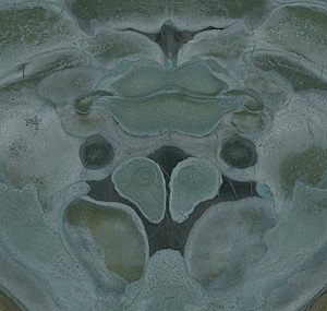 Artwork by Takeshi Kinoshita, crab, Made of ink and color on papers