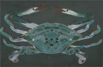 crab - Takeshi Kinoshita