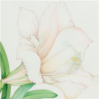 The Muslin Frock - Sharlene Dee Stauffer