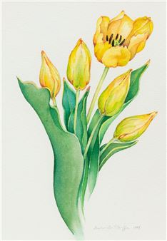 Four Buds and a Tulip - Sharlene Dee Stauffer