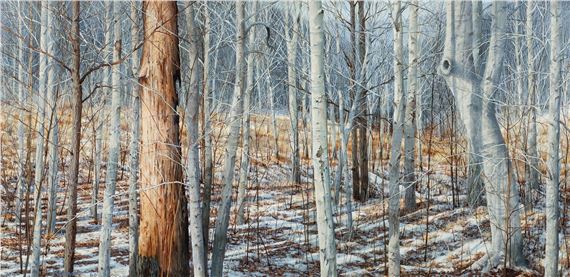 (American/Western PA by Charles Pitcher, 1980