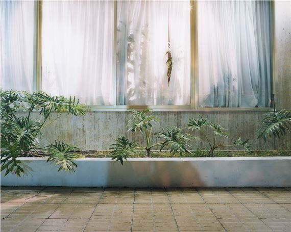Andreas Gefeller | Soma 007, Gran Canaria (2000) | MutualArt