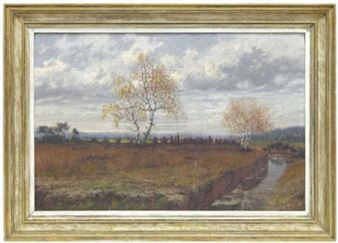 Moor bei Höhenrain - Hans Heinen