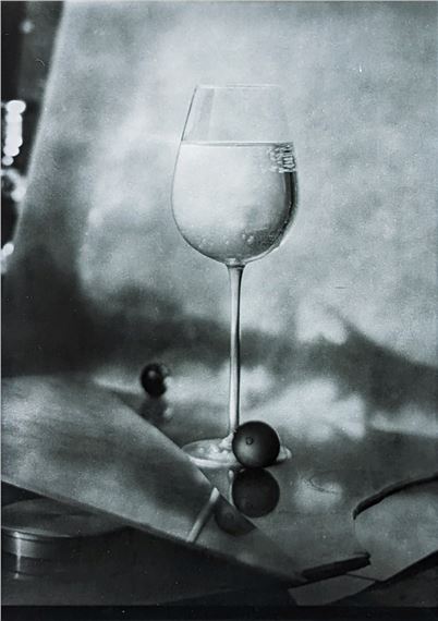 Josef Sudek ヨゼフ・スデク　Zátiší Josef Sudek (1896 - 1976) - COMPOSITION - Lot 121 | GARDEN