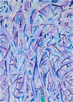 Andreas Siqueland: The Forbidden Forest