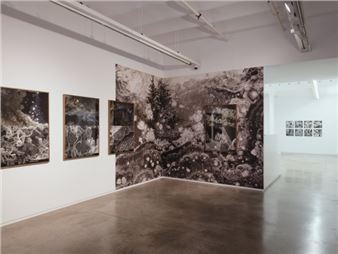 Joan Fontcuberta: Jardins De Pols - àngels barcelona