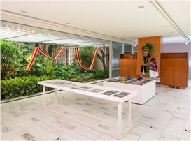 In Praise of Birdsong: Silent Spring in São Paulo