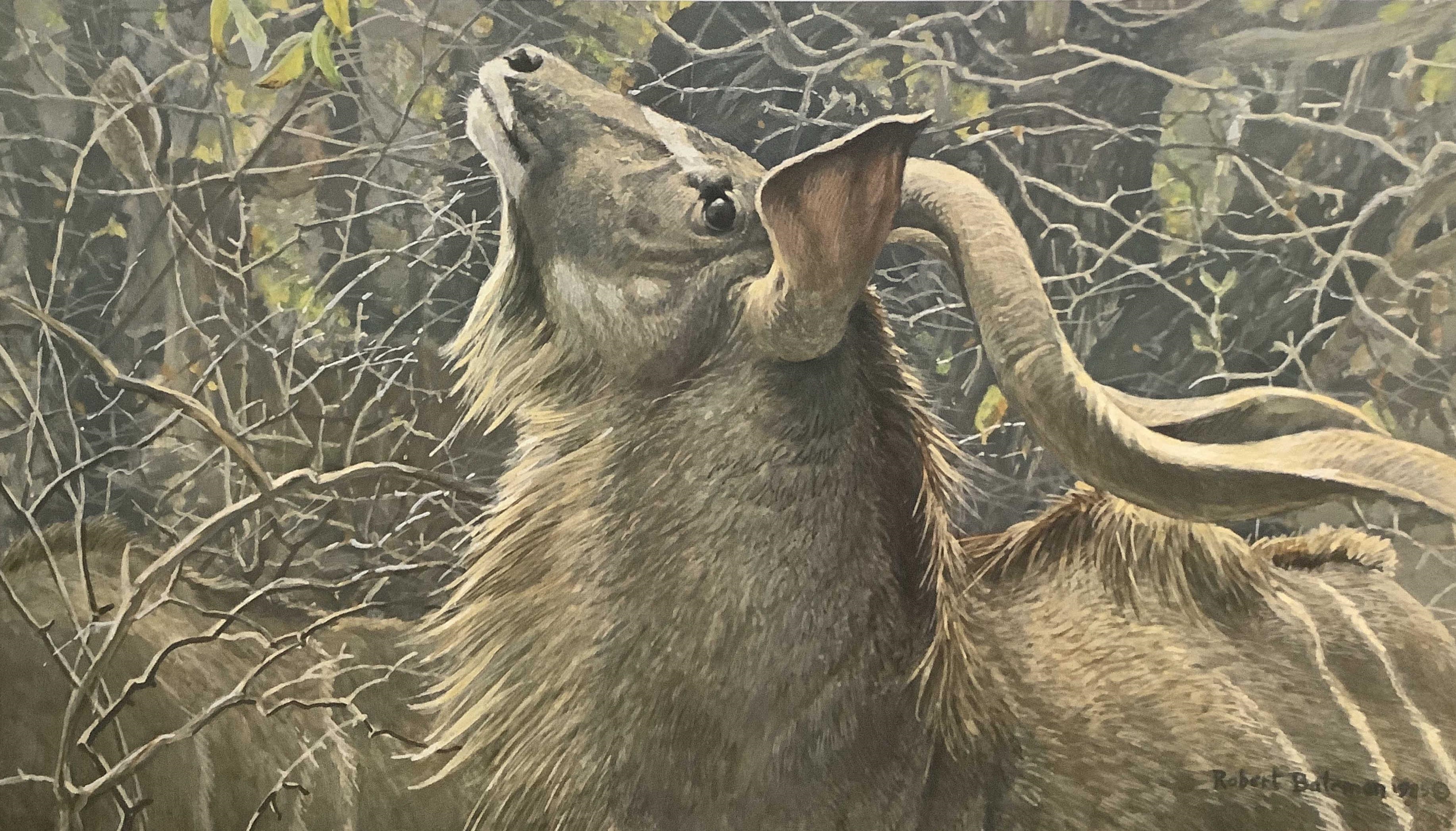 Robert Bateman | Robert Bateman Limited Edition Prints | MutualArt