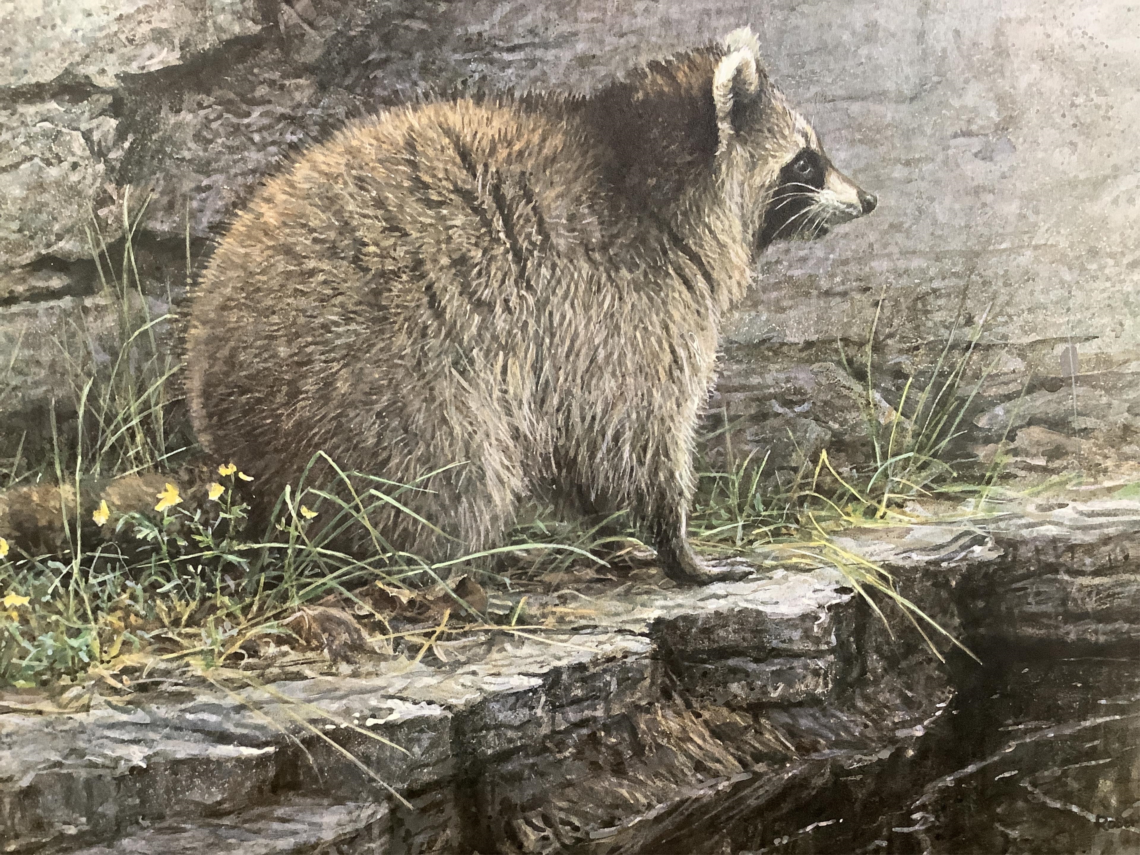 Robert McLellan Bateman | Robert Bateman Limited Edition Prints | MutualArt