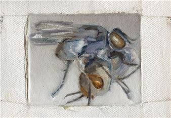 Cyclorrhapha - Tomas Harker