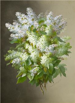 Pink and White Lilac - Raoul M. de Longpre