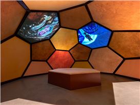 German Museum Cancels Afrofuturism Show Over Curator’s Pro-Palestine Posts