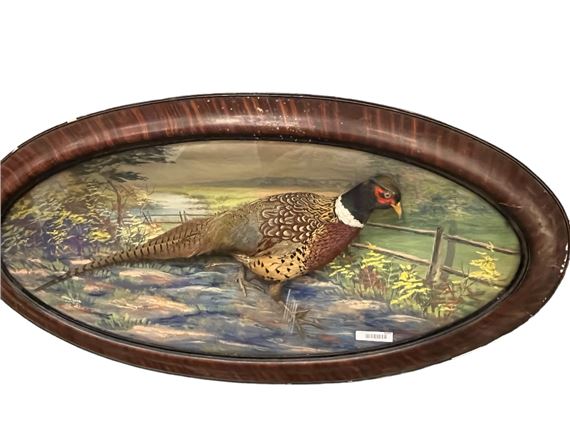 Pheasant oval - Herman Grieb