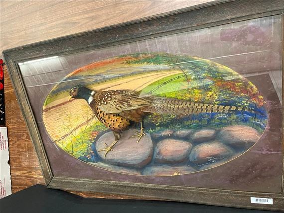 Pheasant Diorama - Herman Grieb