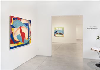 David Aylsworth: Something Nice With Swans - Inman Gallery