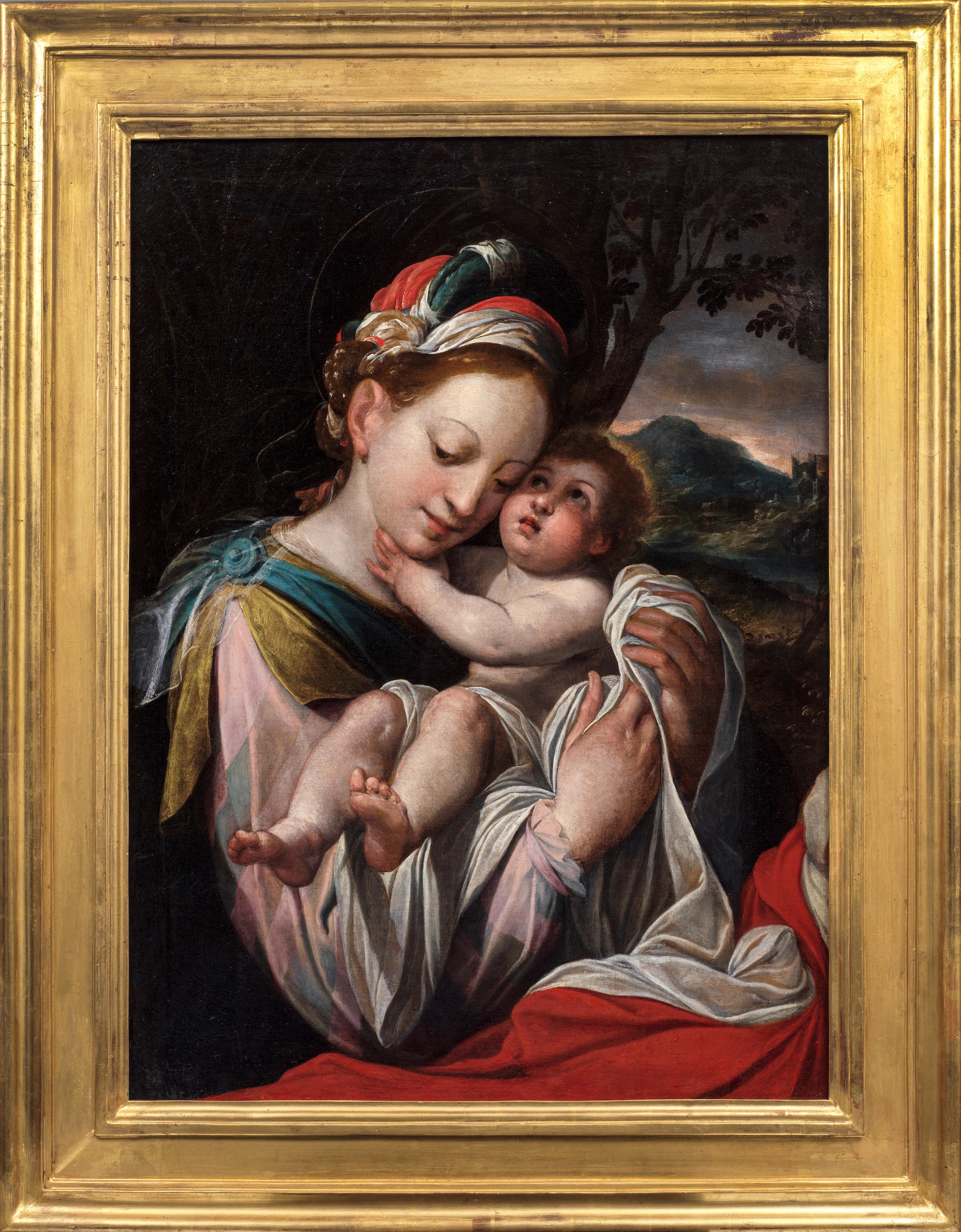 Giovanni Battista Trotti | The Madonna and Child | MutualArt