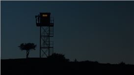 Ali Cherri’s “Dreamless Night”