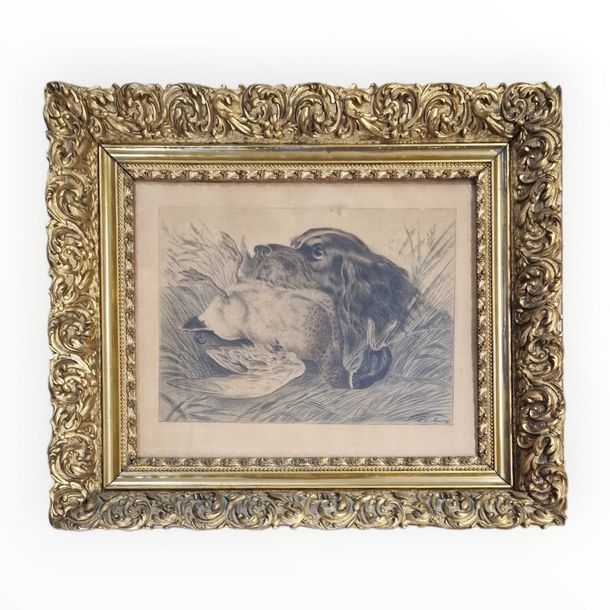 Arthur Maury | Spaniel bringing back a mallard GRAPHITE AND COLORED ...