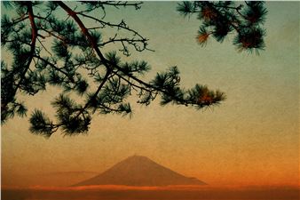 Albarran Cabrera: Here Blooms the Flower of Dawn - Sous Les Etoiles Gallery