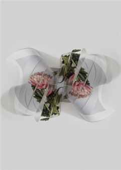 Delphine Burtin: Fragments - Benrubi Gallery