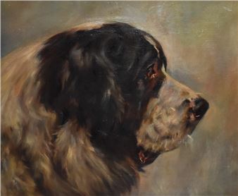 A head study of a Saint Bernard dog - British School, 19th Century