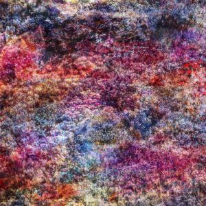 Collector Favorites: Bestselling Artists of September