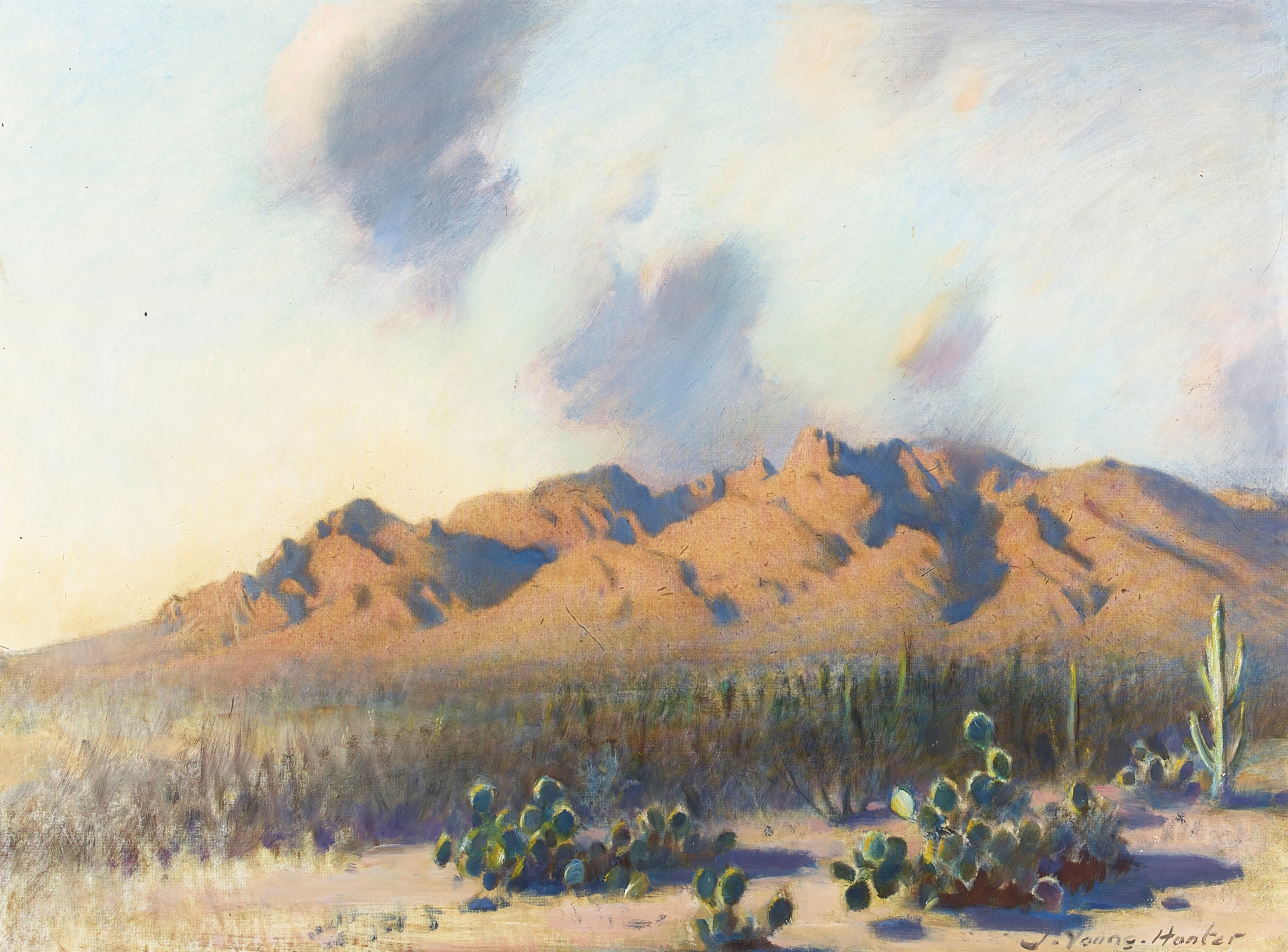 John Young-Hunter | Santa Catalina Mountains | MutualArt