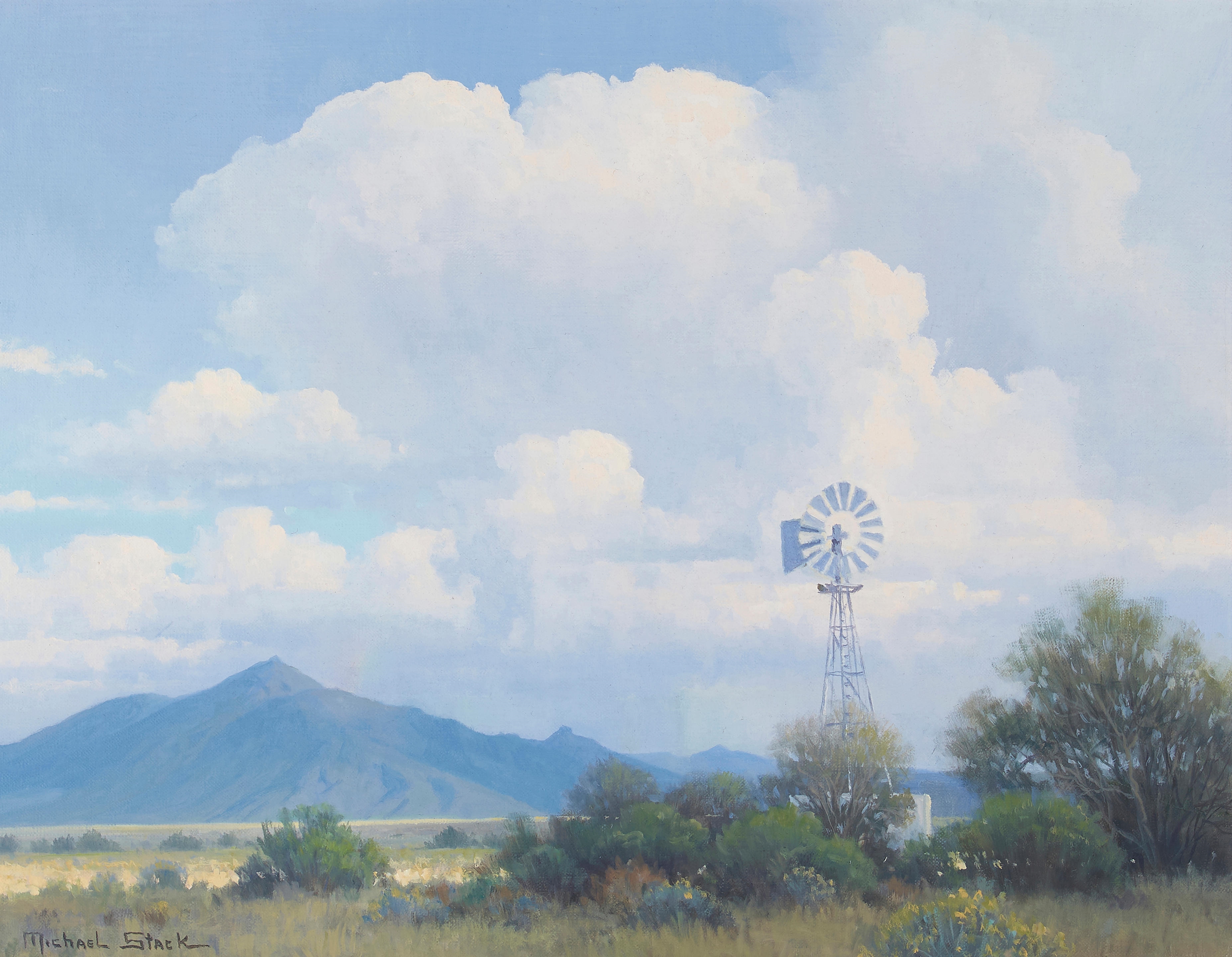 Michael Stack | Desert Rain | MutualArt