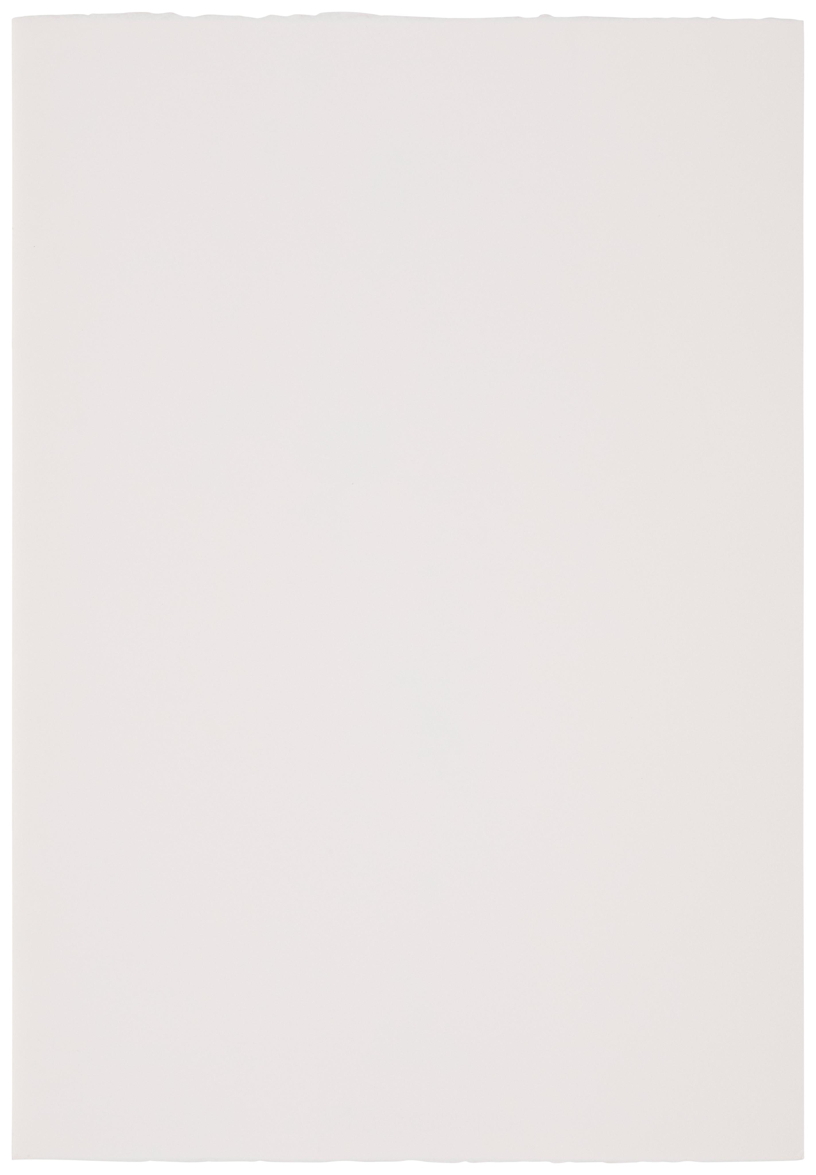 Artwork by Eduardo Talledos, Table With Birds, Butterfly And Moth, Made of Pencil on wove paper