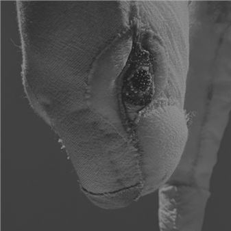 This Is Not A Doll's House - The CAMP Gallery, North Miami