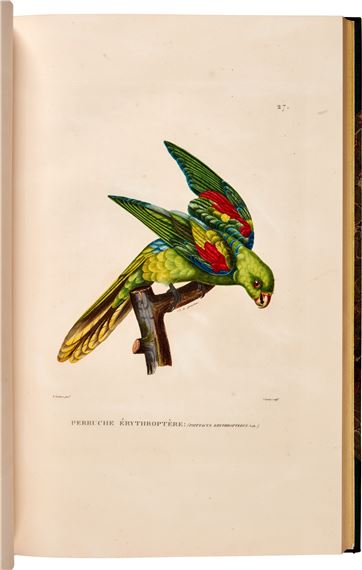 Voyage autour du monde. Paris, , 4 atlas volumes - Louis de Freycinet